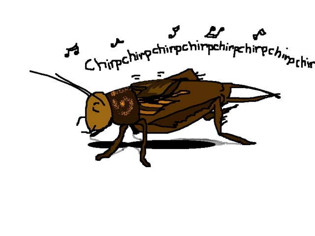 ImageUploadedByBrownCafe1428316977.363336.jpg