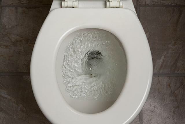 ImageUploadedByBrownCafe1439002430.686937.jpg