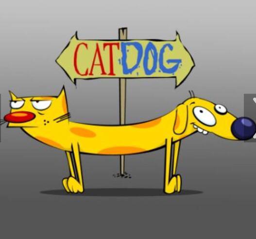 ImageUploadedByBrownCafe1442978700.260099.jpg
