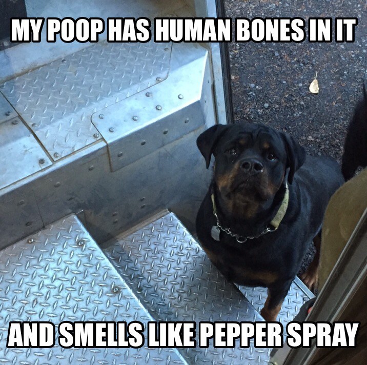 ImageUploadedByBrownCafe1456537160.910645.jpg