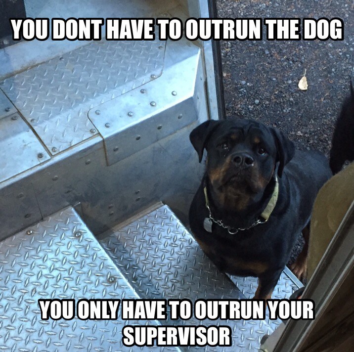 ImageUploadedByBrownCafe1456537192.921966.jpg