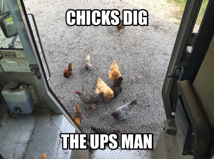 ImageUploadedByBrownCafe1460939575.531306.jpg