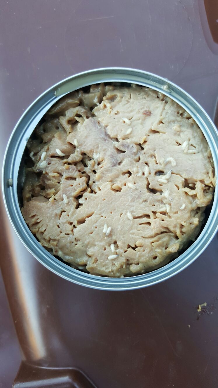 img-20160925-wa0002.jpg