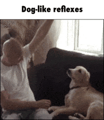 IMG951527.gif