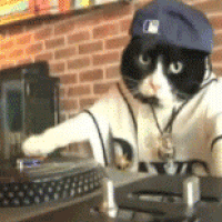 IMG_0079.GIF