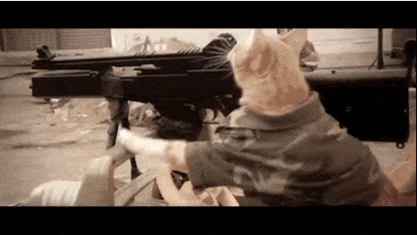IMG_0327.GIF