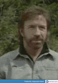 IMG_0342.GIF