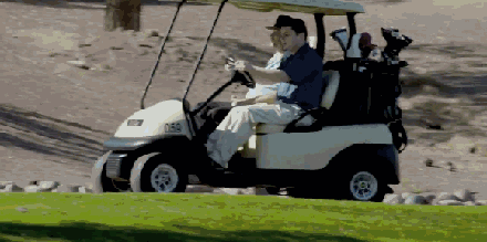 IMG_0781.GIF