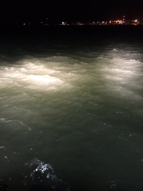 IMG_0828.JPG