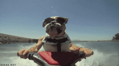 IMG_0832.GIF