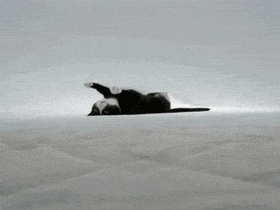 IMG_0874.GIF