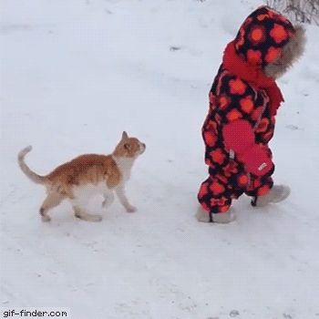 IMG_0875.GIF
