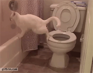 IMG_0877.GIF