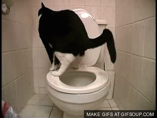 IMG_0878.GIF