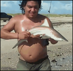 IMG_0886.GIF