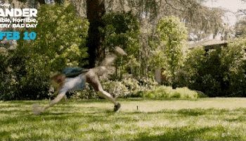 IMG_0890.GIF