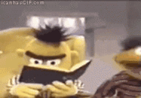 IMG_0916.GIF