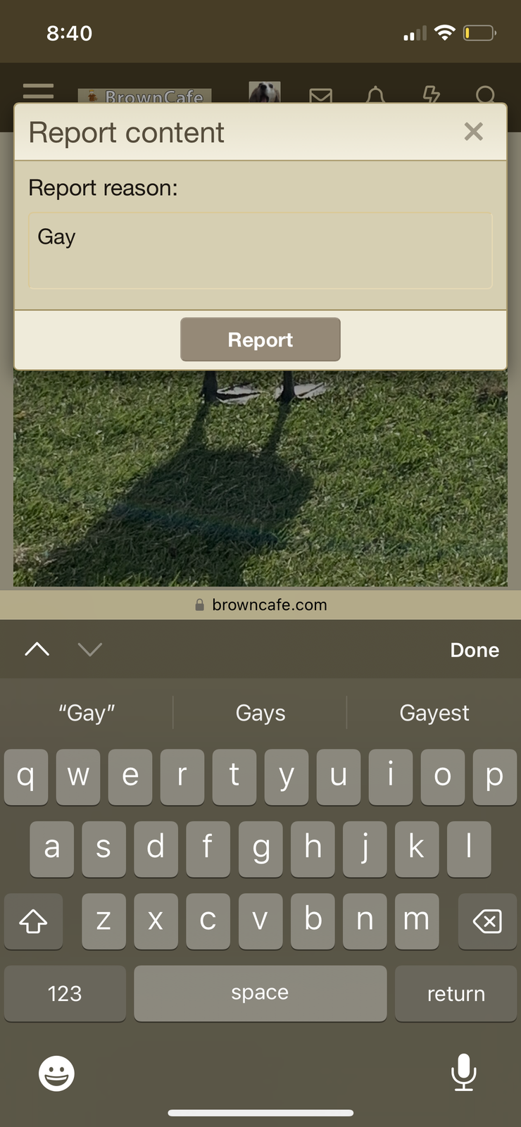 IMG_1078.png