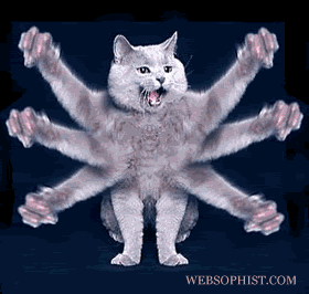 IMG_1180.GIF