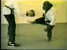IMG_1182.GIF