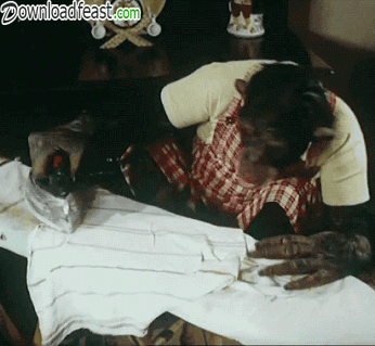 IMG_1196.GIF