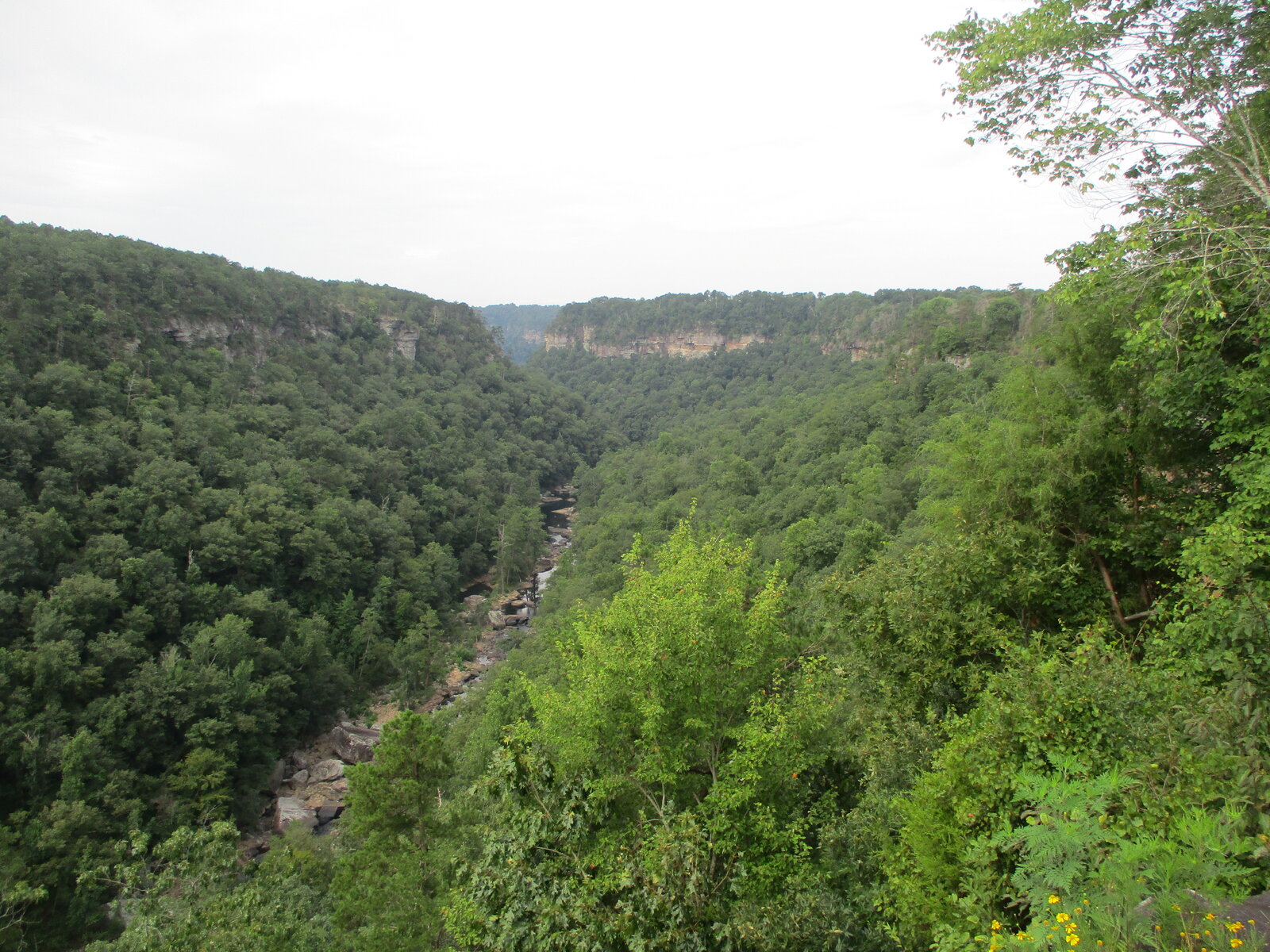 IMG_1217.JPG