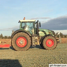 IMG_1326.GIF