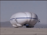 IMG_1425.GIF