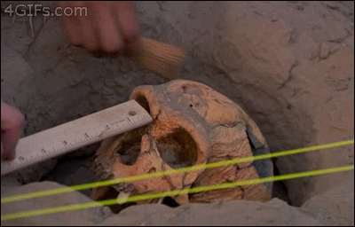 IMG_1490.GIF