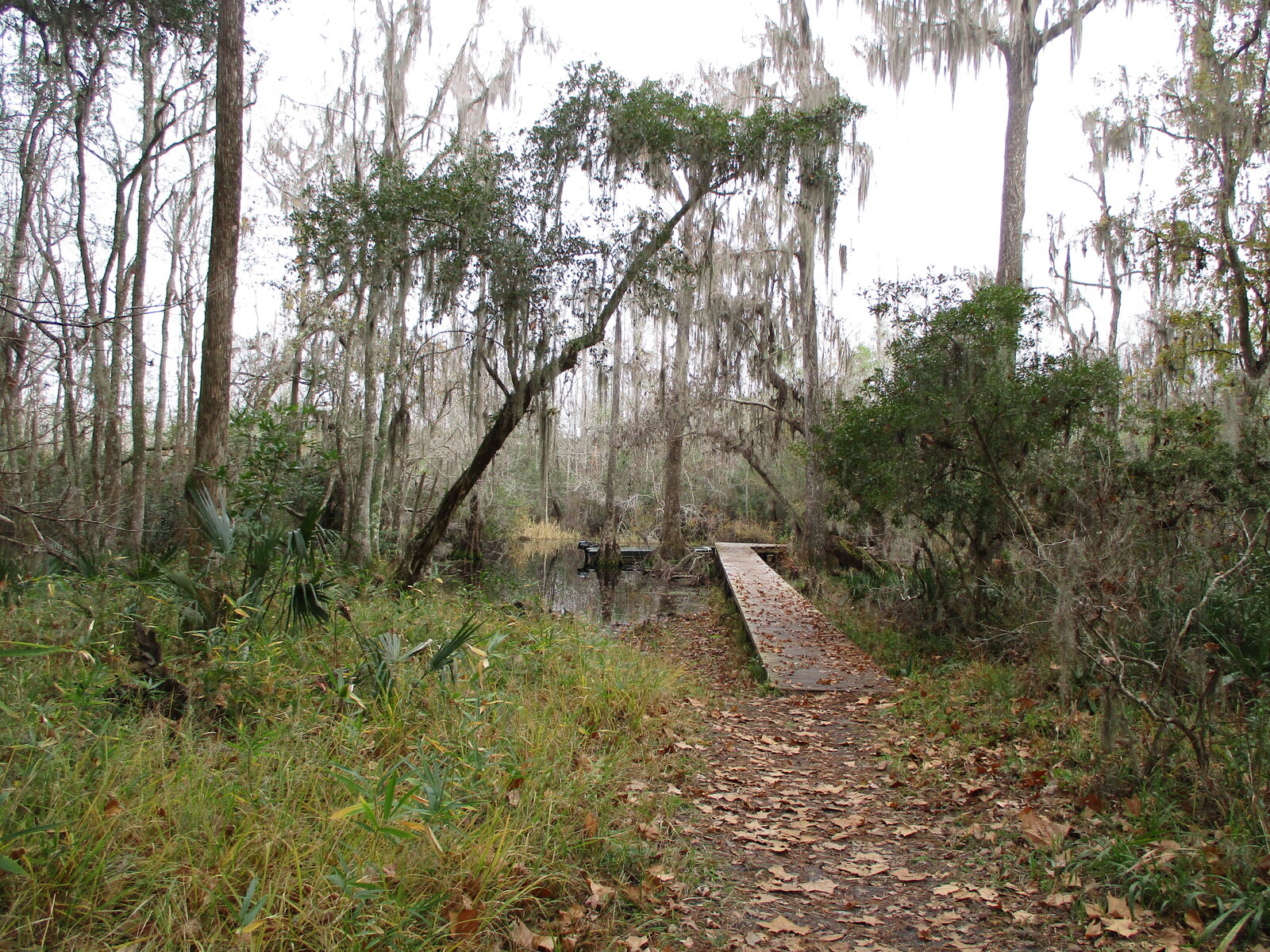 IMG_1536.JPG