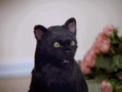 img_1548-gif.135219