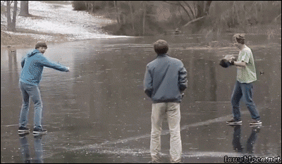 IMG_1556.GIF