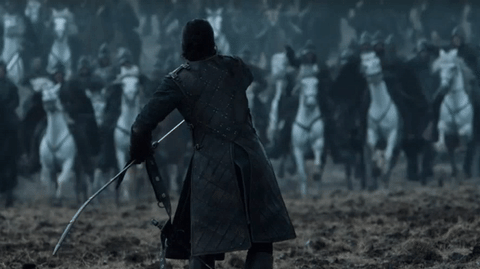 IMG_1562.GIF