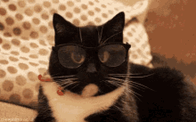 IMG_1690.GIF