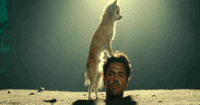 IMG_1751.GIF