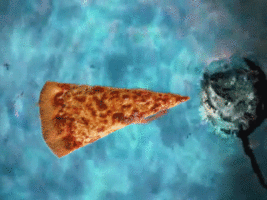IMG_1807.GIF