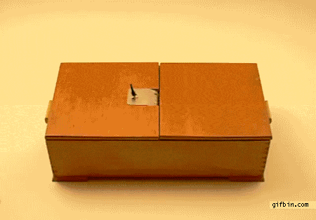 IMG_1854.GIF