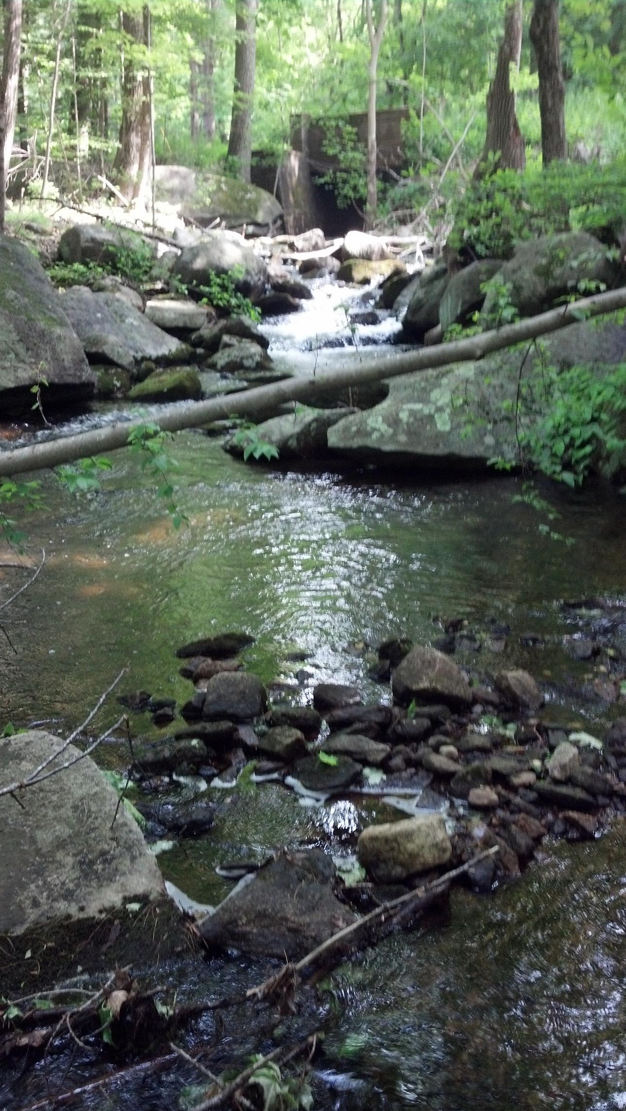 IMG_20130529_161223_998.jpg