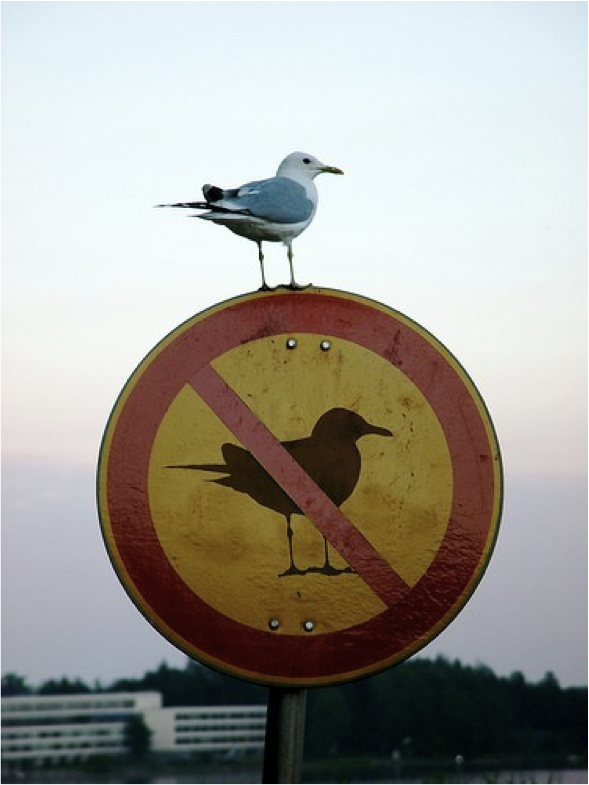 img_20131128092921_3273f9a1.png