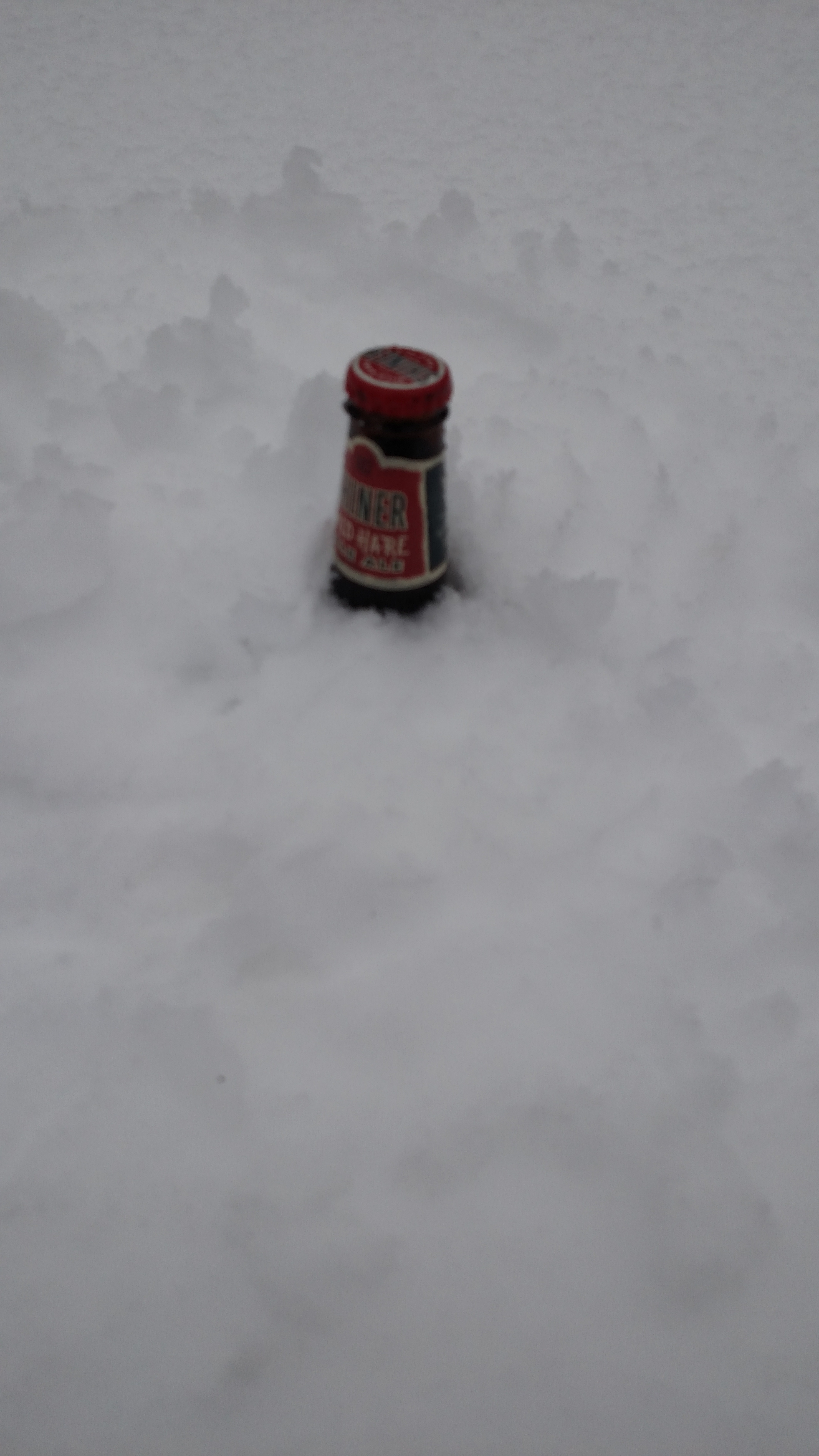 IMG_20150221_165801448.jpg