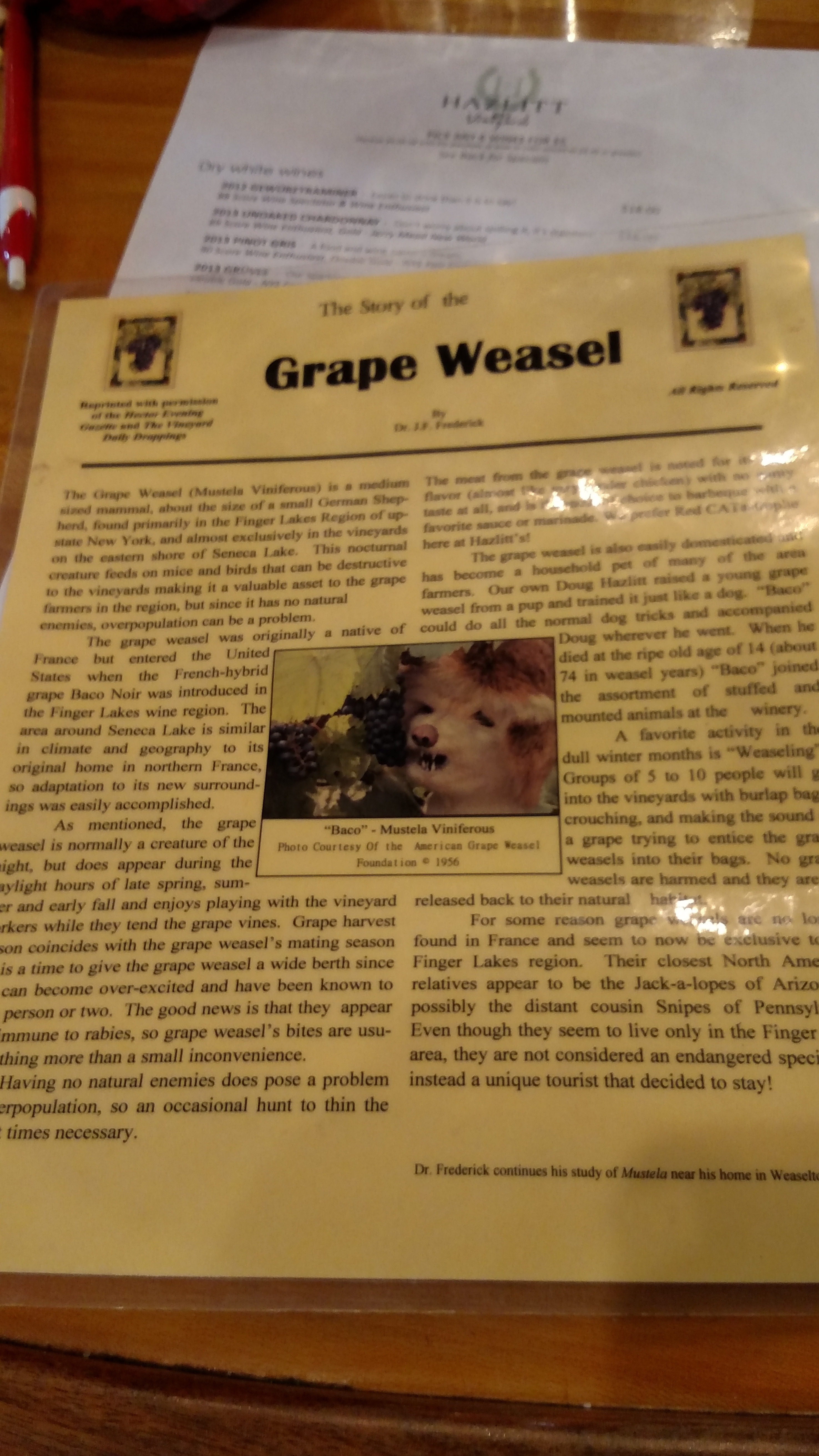 IMG_20151006_131655666.jpg
