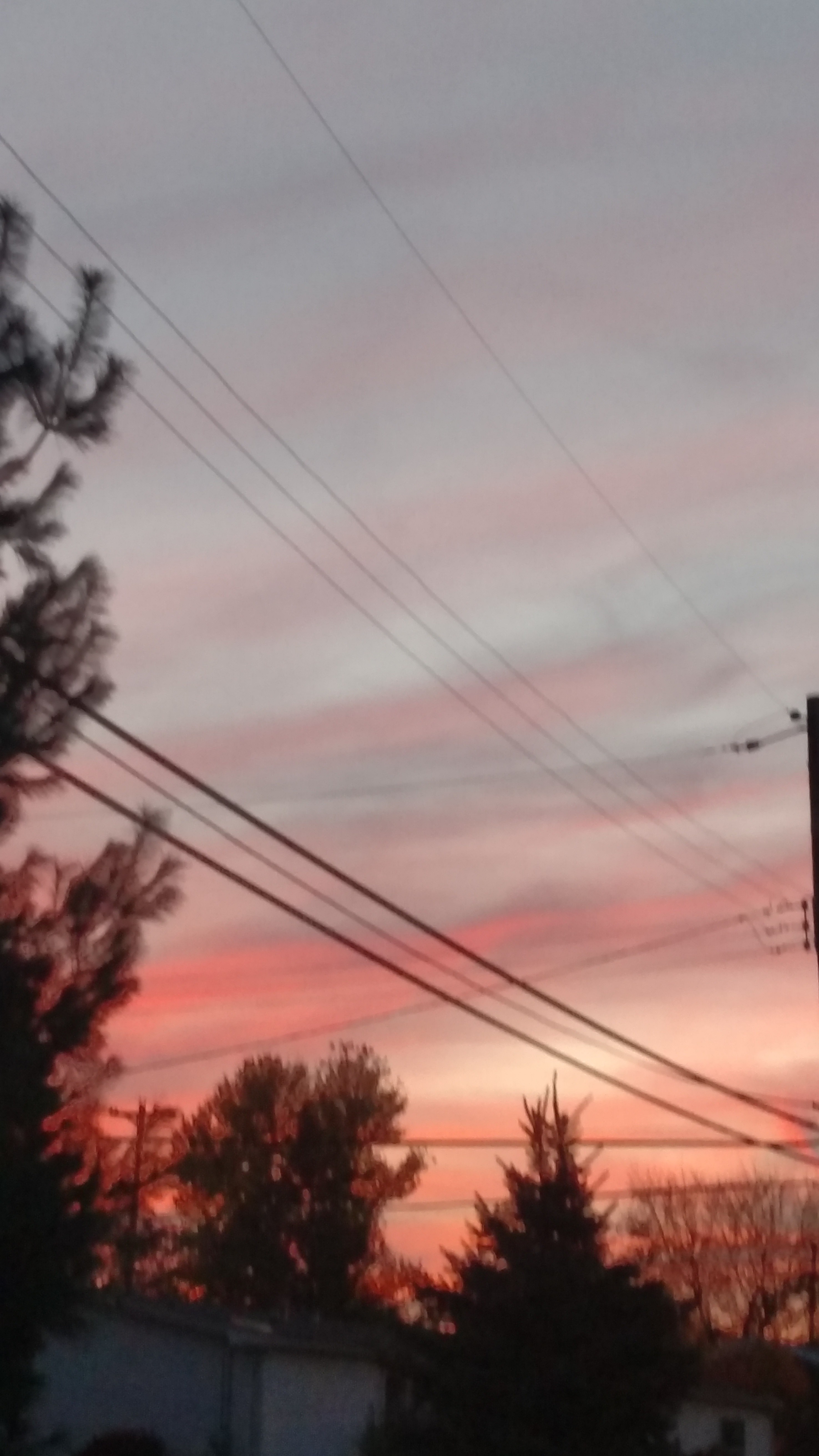 IMG_20151101_173227524.jpg