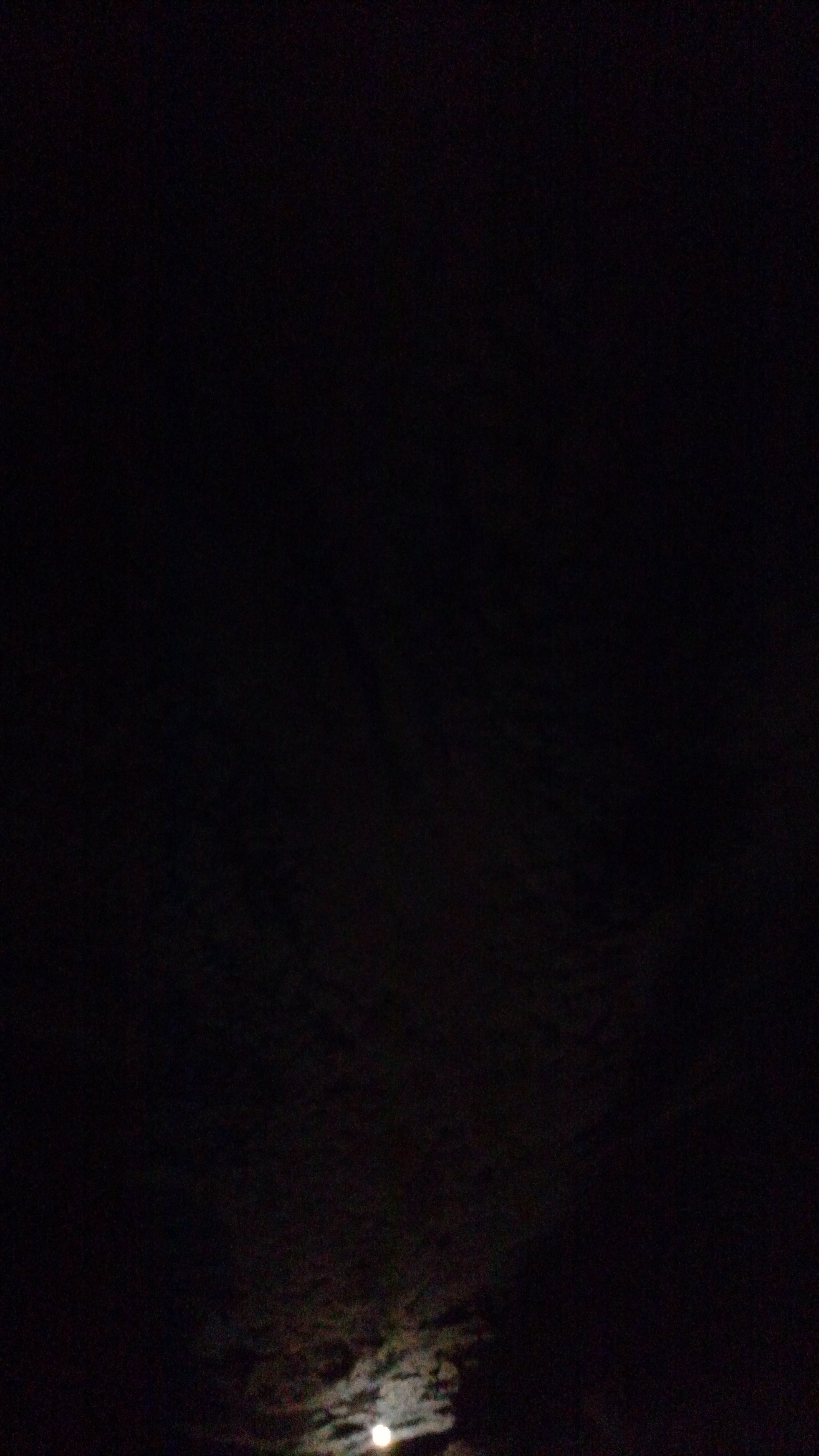 IMG_20160125_204306561.jpg