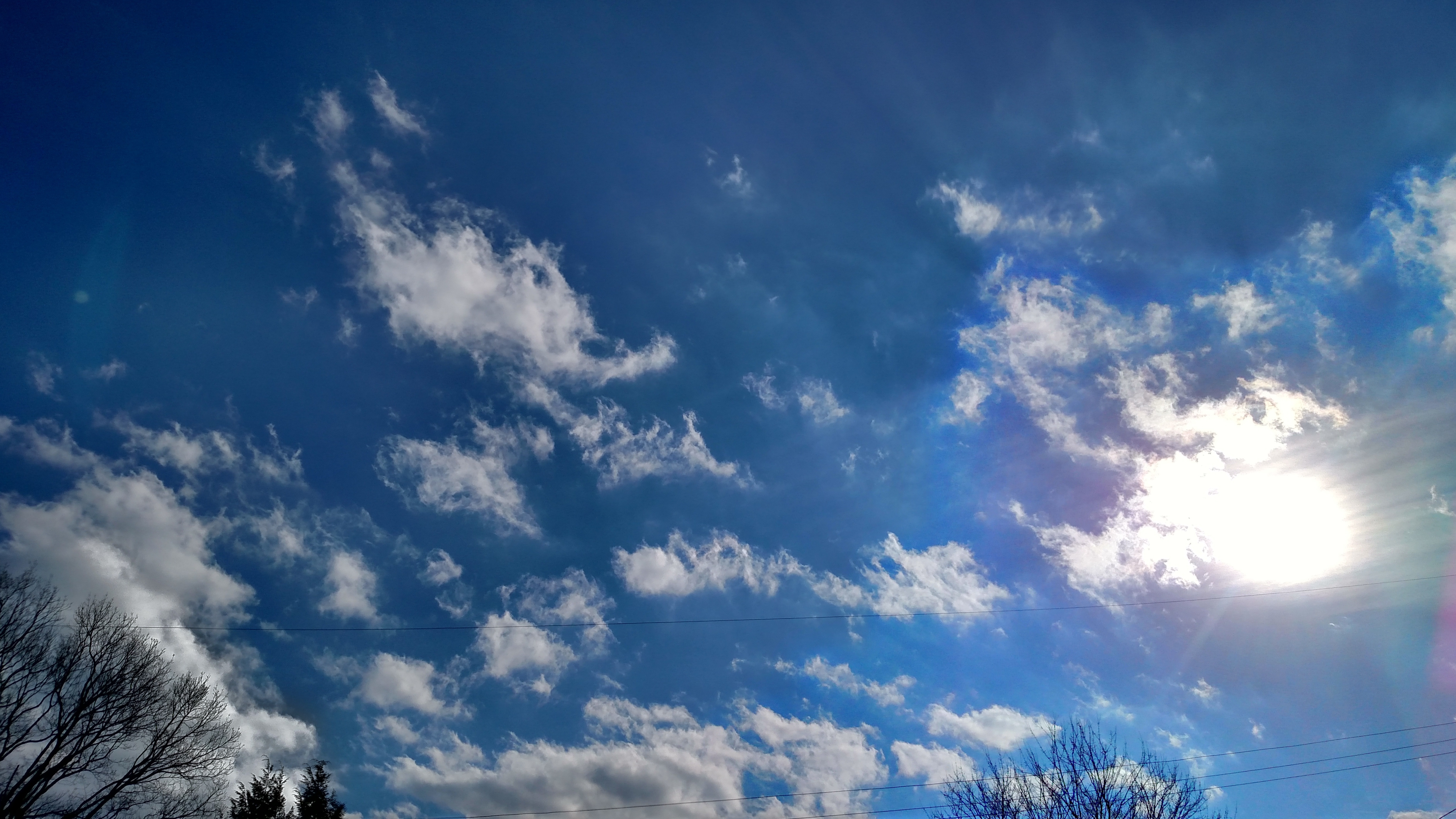 IMG_20160131_144618230_HDR.jpg