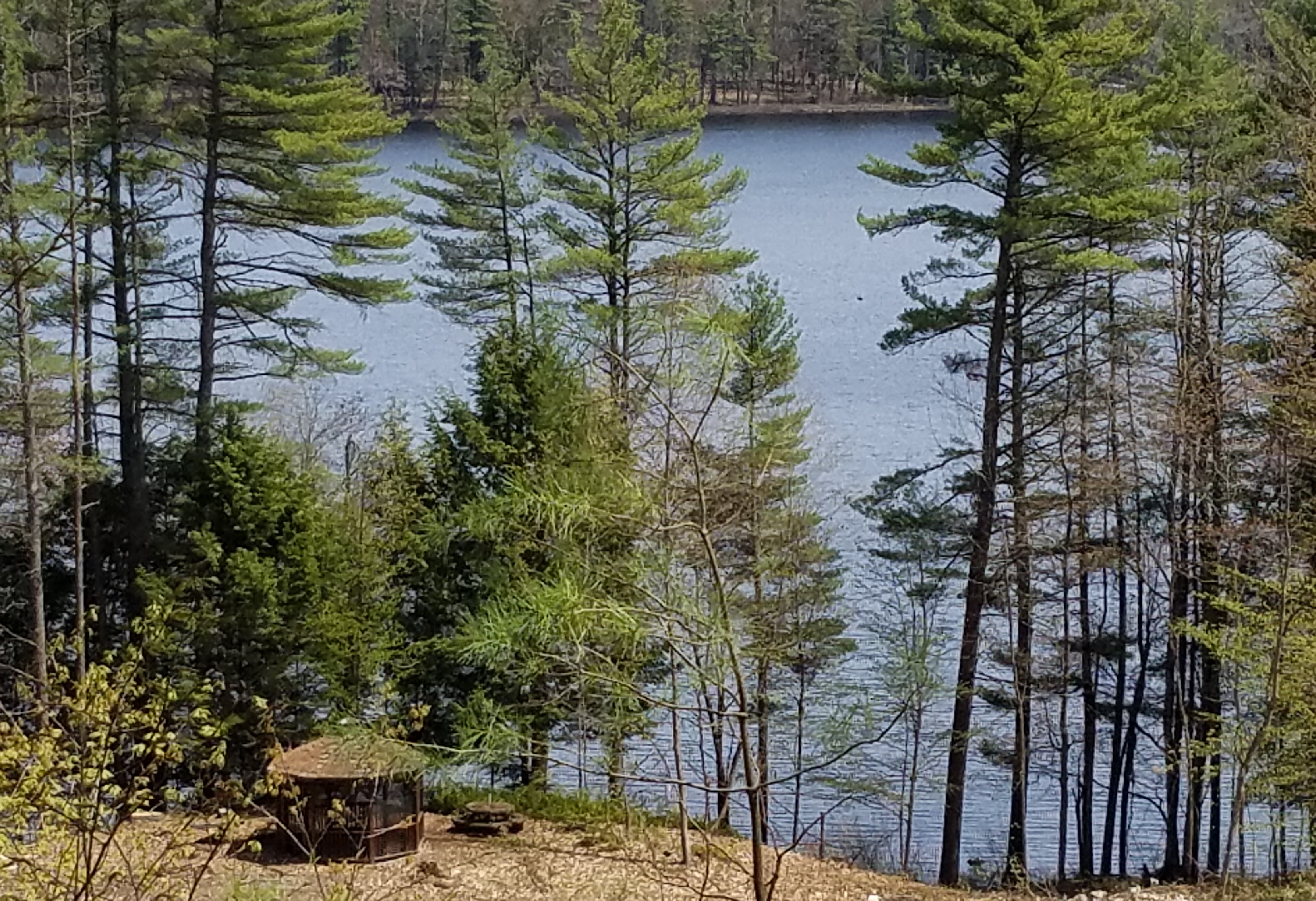 IMG_20170505_073424_041.jpg