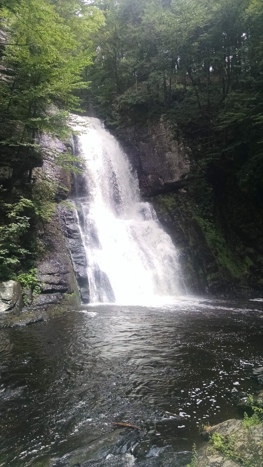 IMG_20170707_121314986.jpg