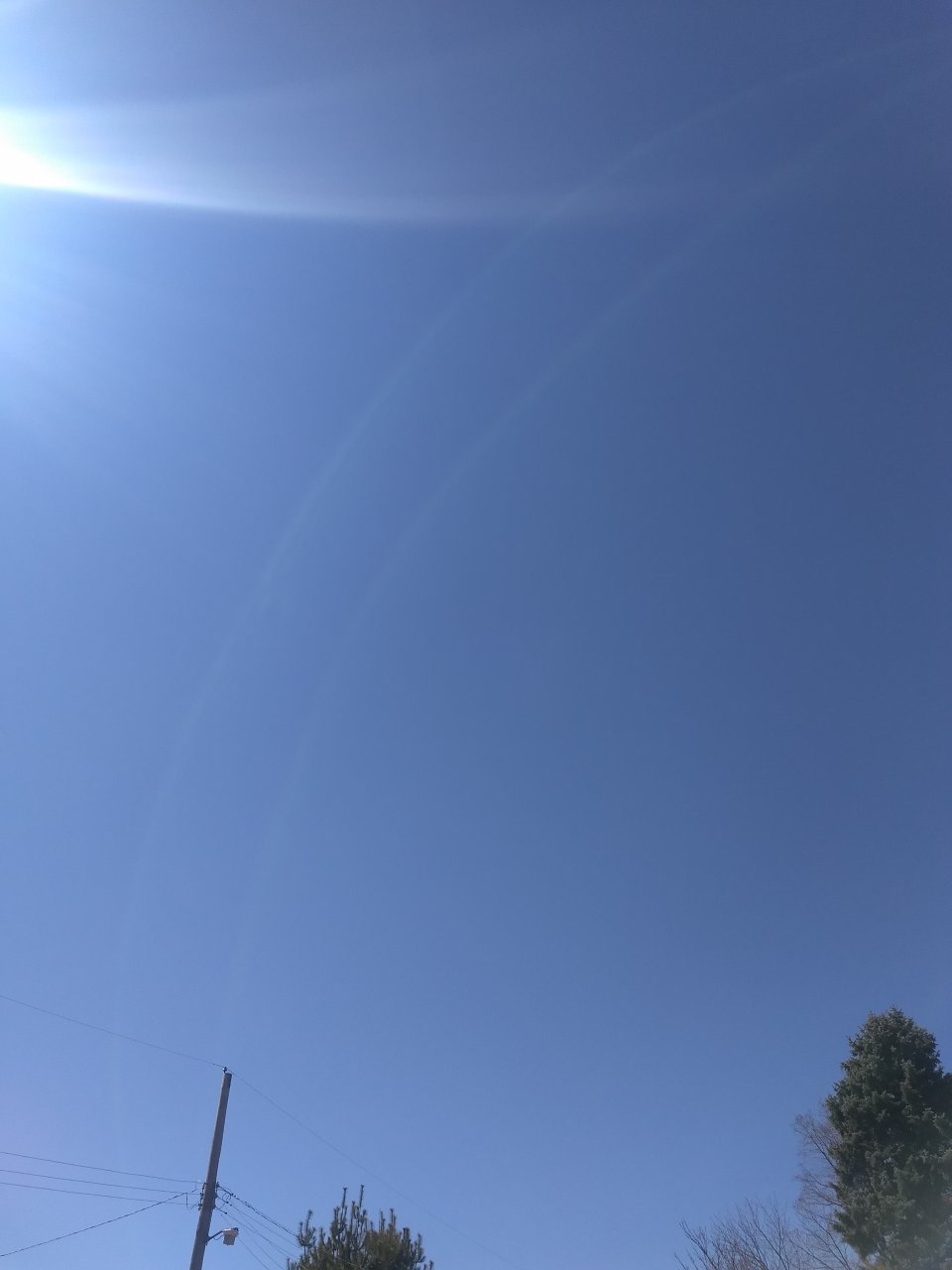 IMG_20180318_125736339.jpg