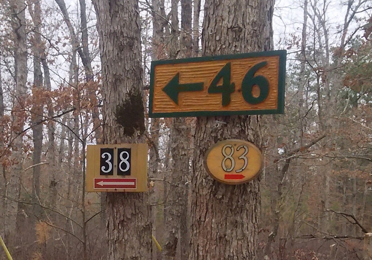IMG_20180408_104229.jpg