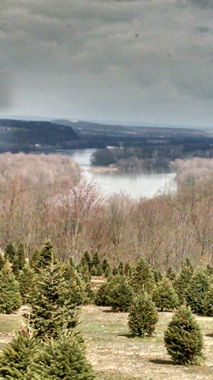 IMG_20180410_112514794_HDR.jpg