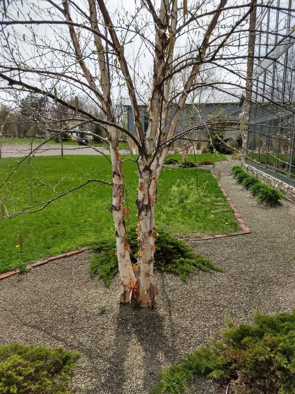 IMG_20180506_145725263_HDR.jpg